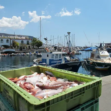 Sebco - Puerto De Mogan